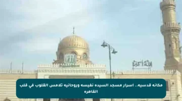 مكانة قدسية.. أسرار مسجد السيدة نفيسة وروحانية تلامس القلوب في قلب القاهرة